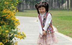 紧急迫降电影在线观看免费完整版字幕版